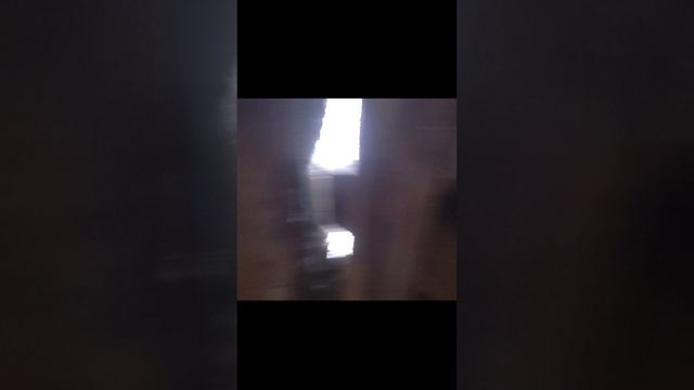 вырос Борян? смотреть онлайн