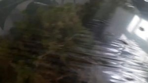 МОХ сфагнум. 6 способов хранения. Легко и просто #мох #легко