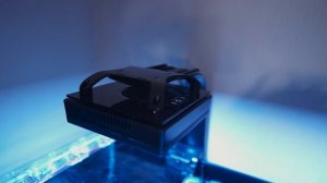 Запуск морского аквариума, монтаж оборудования