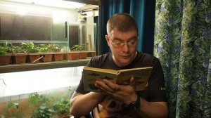 Голубой неон (Paracheirodon innesi) — Аквариумные тропические рыбы № 1