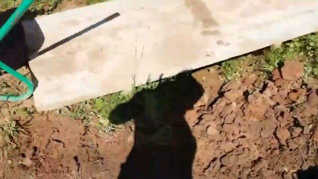 Объект закончили смотреть онлайн