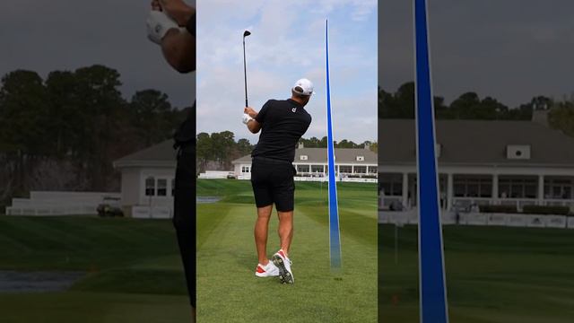 Masters Champion Vs. Amateur Golfer