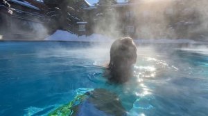 Ёжик в тумане