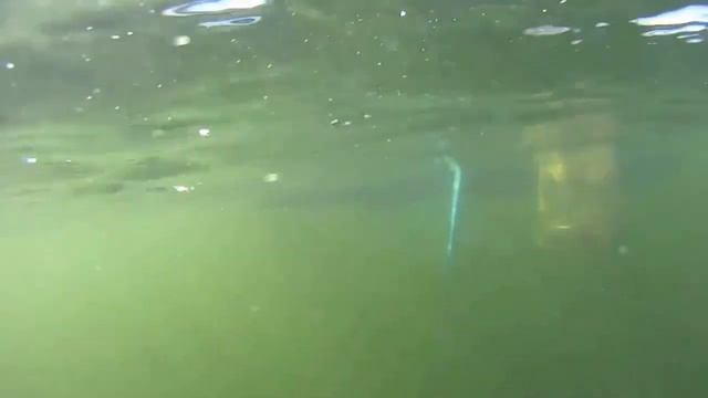 НА ЭТОМ ОЗЕРЕ КЛЮЁТ И НЕ ТОЛЬКО...... BITE CARP IN THE LAKE. смотреть онлайн