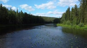 Тайга, река Куромба 4К