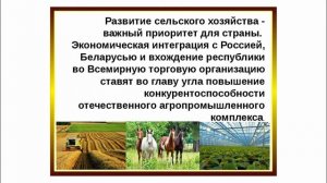 Экономика агропромышленного комплекса