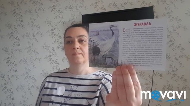 Беседа «Перелётные птицы» воспитатель Асатрян А.Х. смотреть онлайн