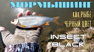 Мормышинг. Как рыбе черный цвет?