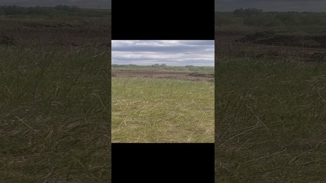 Гонки