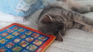 Я - спать?
И вам тоже приятных приведений?