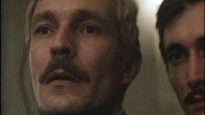 Залив счастья