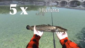Ловля НАЛИМА | Ultimate Fishing Simulator | Париж