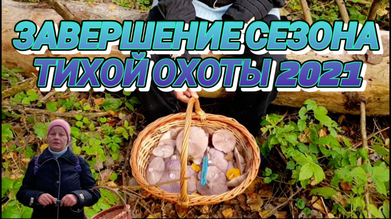 Завершение сезона тихой охоты 2021. Влог
