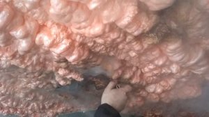POLYNOR ГОРИТ или НЕТ ?