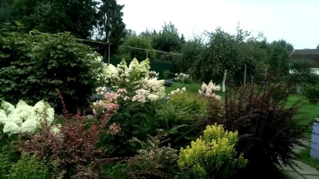 Шквал идёт смотреть онлайн