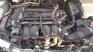 M230 ДВС (Двигатель) Ford Focus-2 1.6i HXDA
