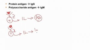 USMLE RX - 7.Микробиология - 2.Основы бактериологии - 18.Инкапсулированные Бактериальные вакцины