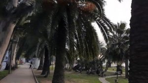 ЗИМОЙ ПО АБХАЗИИ В ГАГРУ ПУТЕШЕСТВИЕ НА  ЧЁРНОЕ МОРЕ ДЕКАБРЬ 2021