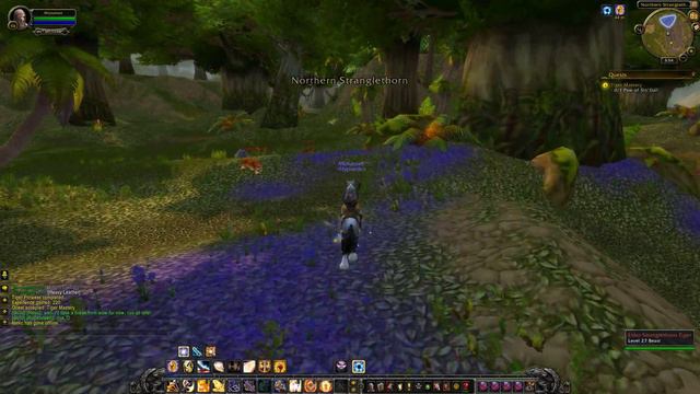 Quest 202: Tiger Mastery (WoW, human, paladin) смотреть онлайн