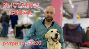 Монопородная выставка "Ретривер-2020". Участие и обзор выставки собак.