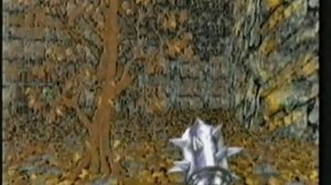 От винта! Выпуск 24. TFX, Hexen, компьютерный пират, Primal Rage