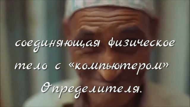 ДУША ЧЕЛОВЕКА. МАТРИЦА. СЕРЕБРЯНАЯ НИТЬ ЖИЗНИ. СЕКЛИТОВА Л.А. СТРЕЛЬНИКОВА Л.Л.