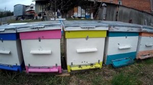 Дым. пушка, бипин и керосин