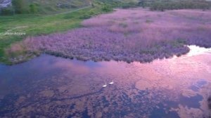 с. Белый Колодезь выпускники на природе S. Bely Kolodez graduates in nature
