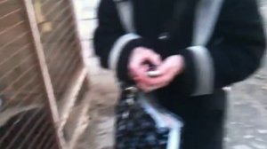 Собака умирает.