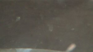 Гуппи альбино кои отнерестились...