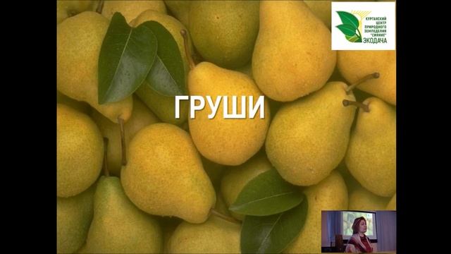 Плодовый сад. Часть 2. Яблони виды, сорта, уход #плодовые деревья