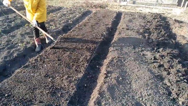 #11 КУПИЛИ ЗАБРОШЕННУЮ ДАЧУ/ КОПАЕМ,САЖАЕМ/