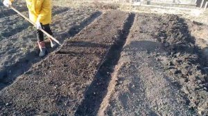 #11 КУПИЛИ ЗАБРОШЕННУЮ ДАЧУ/ КОПАЕМ,САЖАЕМ/