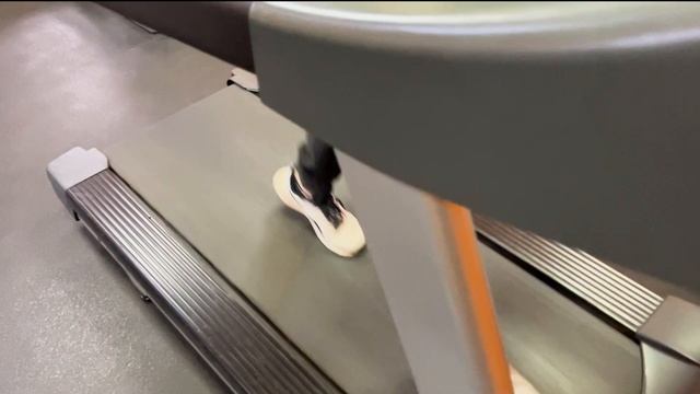 Ксюша хочет такую! Что делать если собака спортивнее вас? Вынули внутренности. Модификации питомник смотреть онлайн