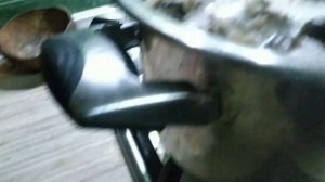 как приготовить грибы мышата маринованные