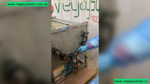 Моечная машина Vega ST 1200 мойка и очистка корнеплодов смотреть онлайн