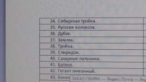 "ТОЛСТОНОГИЕ" ТОМАТЫ - СПИСКОМ. Ольга Чернова.