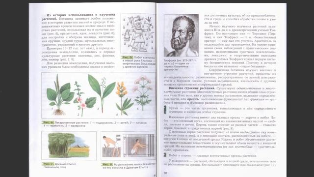 Биология 6 Класс 1 Параграф смотреть онлайн