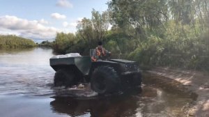 Каракат Кобра  плавает.   Речка с течением