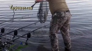 Быстрая  прикормка для ловли карпа амура в короткую сессию