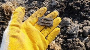 Коп с Легендой и Минелаб стх-3030, нашли Кошелёк с Серебром, куча монет на старом хуторе