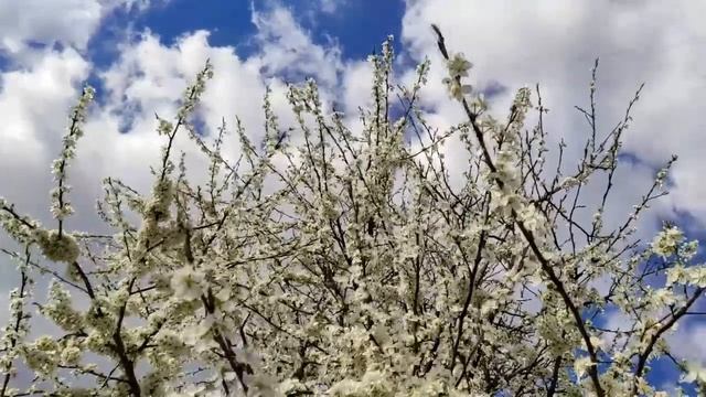 Никогда за ЭТО не извиняйтесь смотреть онлайн