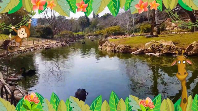 Жужу в забавном Зоопарке.🐏🐘🐻🦆🕊️ JERUSALEM FUNNY ZOO FOR KIDS🦍🐒🐼 смотреть онлайн