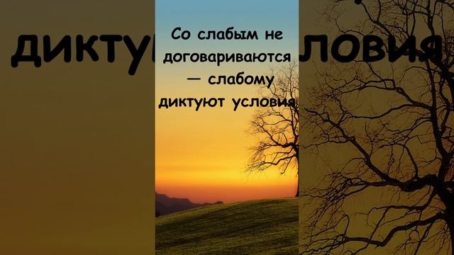 Законы жизни #shorts Цитаты и Афоризмы