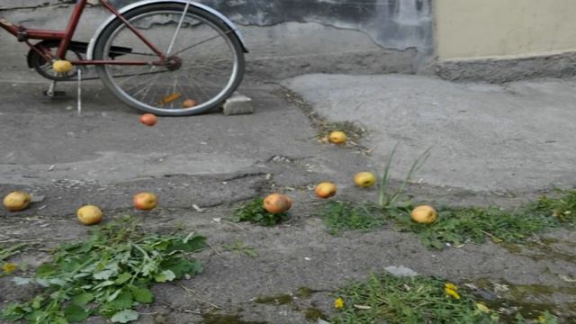 Янн Тирсен Воспоминания.wmv смотреть онлайн