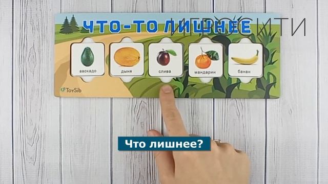 Игра "Что-то лишнее", Toysib (третий лишний, четвертый лишний, пятый лишний)