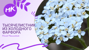 Мк "Тысячели́стник" из холодного фарфора