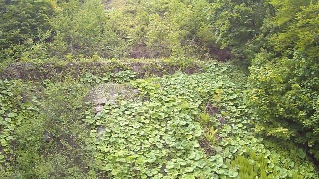 Сколько курортов на Красной Поляне. Канатная дорога. Роза Хутор. смотреть онлайн