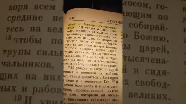 НОВЫЙ ЗАВЕТ🍇АПОКАЛИПСИС#ВСАДНИК НА БЕЛОМ КОНЕ#ЧТО НА НЕМ ЗА КОРОНА?Библия#ВеликийГончар#Грядущийцар
