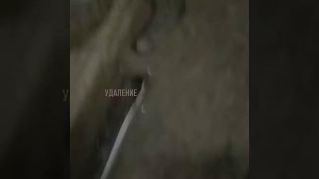 Митсубиши каризма после дтп смотреть онлайн